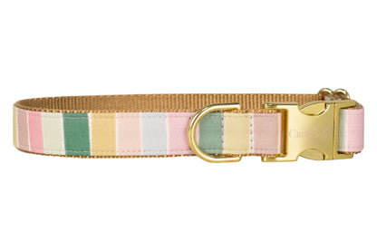A dog collar with vertical pastel stripes in pink, green, yellow, cream, and blue, featuring a tan woven backing and gold-tone metal hardware including a side-release buckle and D-ring.