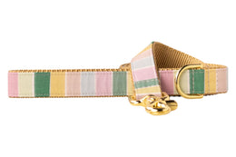 Sandy Stripes Dog Leash