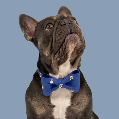 French Bulldog wearing a blue bow tie with Santa Claus print, looking up against a soft blue background in a festive studio portrait.