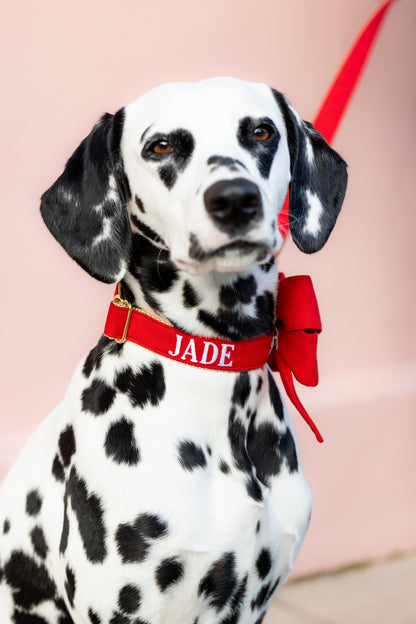 Close-up of a Dalmatian wearing a scarlet red collar with the name "Jade" embroidered in white, and a matching red bow.