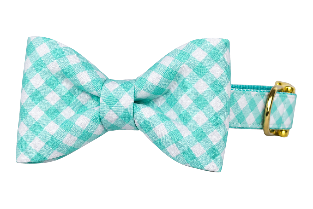 Classic dog collar featuring a Sea Foam Picnic Plaid fabric bow tie, a sea foam aqua and white gingham check, attached to a matching Sea Foam Picnic Plaid collar with a nylon inner lining and gleaming gold hardware, including a D-ring and buckle.