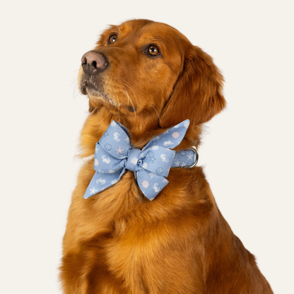 Golden retriever wearing a blue coastal print belle bow and collar matching set with an oversized bow decorated with seashells, starfish, and seahorses.