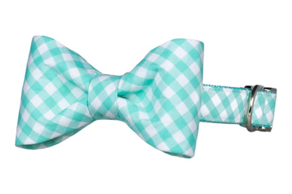 Seafoam green and white gingham dog bow tie attached to a matching collar, featuring a classic checkered pattern and a neatly knotted center. The coordinating collar includes silver-tone hardware and a matching fabric strap.
