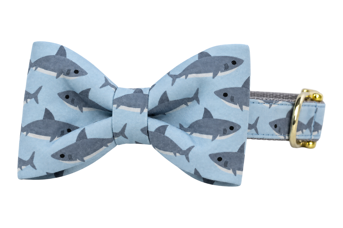 Classic dog collar featuring a Shark Tails fabric bow tie, a pale sky blue fabric with slate gray sharks, attached to a matching Shark Tails collar with a nylon inner lining and gleaming gold hardware, including a D-ring and buckle.