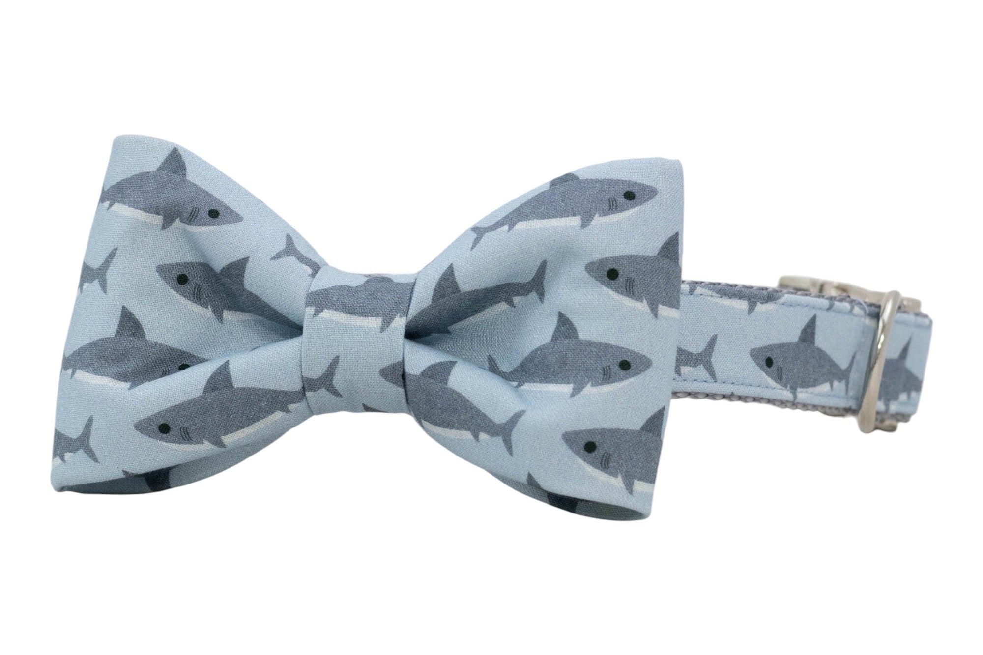 Light blue dog bow tie collar featuring a repeating gray shark pattern, attached to a matching adjustable collar with a metal D-ring