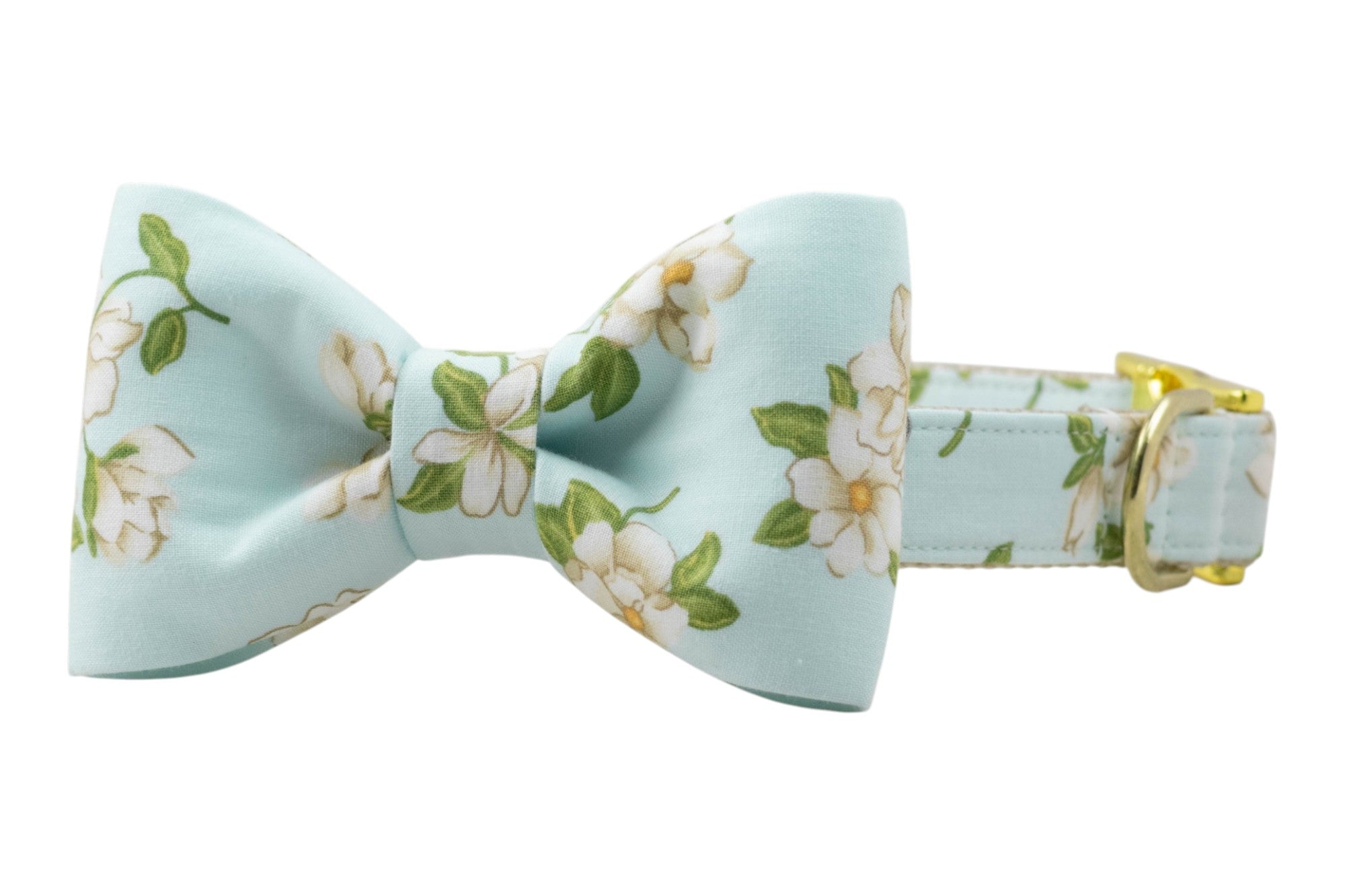 Pastel blue dog bow tie with white magnolia flowers on a matching collar, finished with shiny gold hardware.