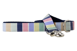 Southern Stripe Dog Leash