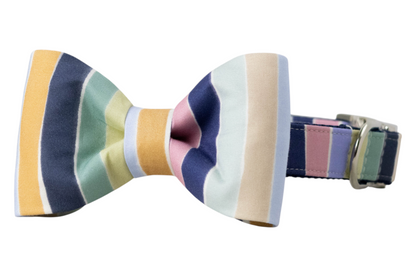 A stylish dog collar with a matching pastel-striped bow tie. The crisp bow tie is centered on a coordinating collar with a D-ring and durable buckle, perfect for fall!