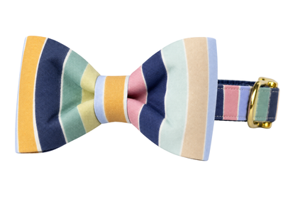 Classic dog collar featuring a Southern Stripe fabric bow tie, wide vertical stripes in navy, sage green, golden yellow, blush pink, cream and light blue, attached to a matching Southern Stripe collar with a nylon inner lining and gleaming gold hardware, including a D-ring and buckle.