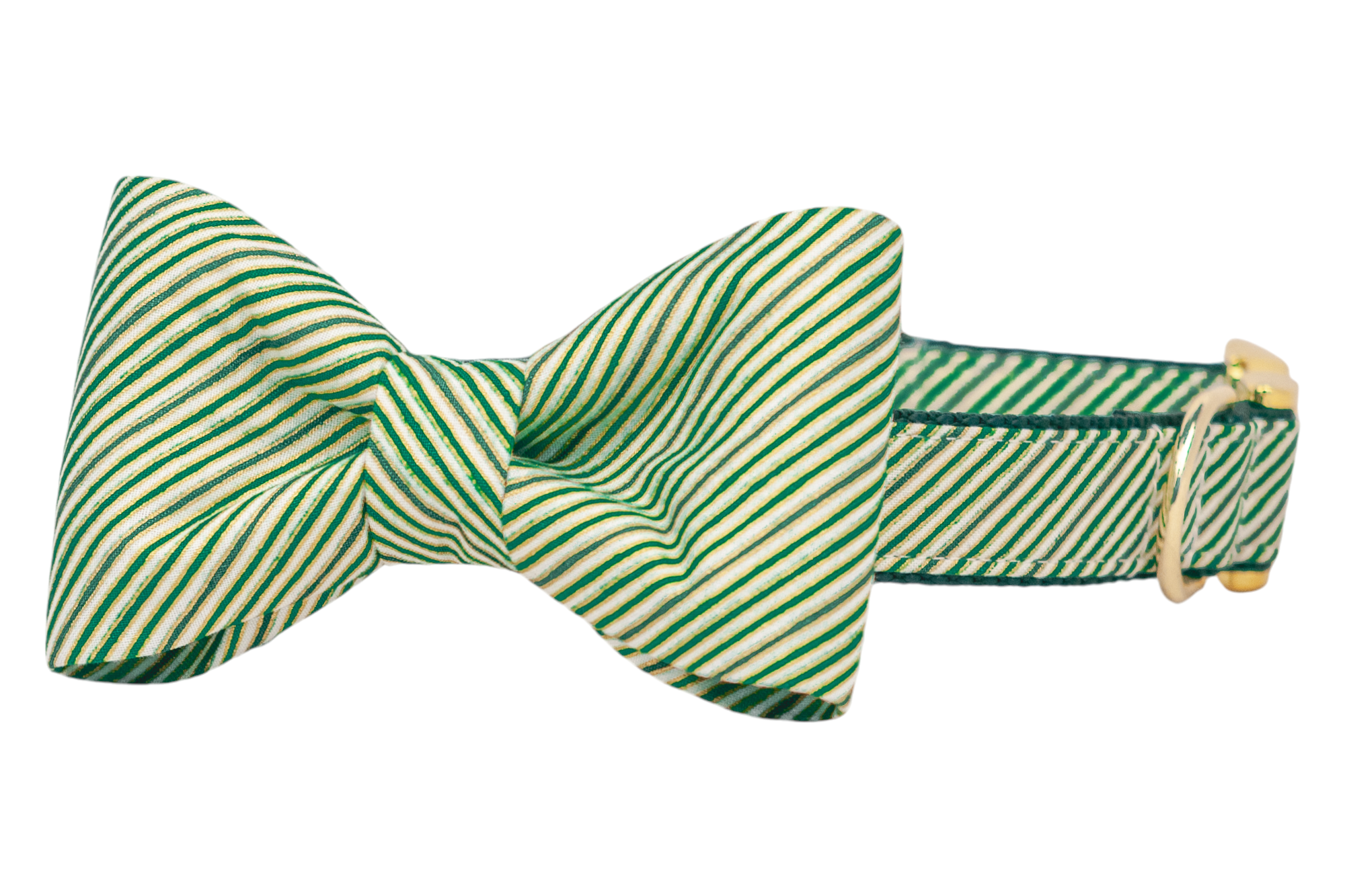 A festive dog collar with an attached bow tie, both made from fabric featuring diagonal green stripes. The bow tie is centered with a neat, symmetrical shape, while the collar is reinforced with green webbing and finished with polished  hardware, including an adjustable buckle and D-ring.