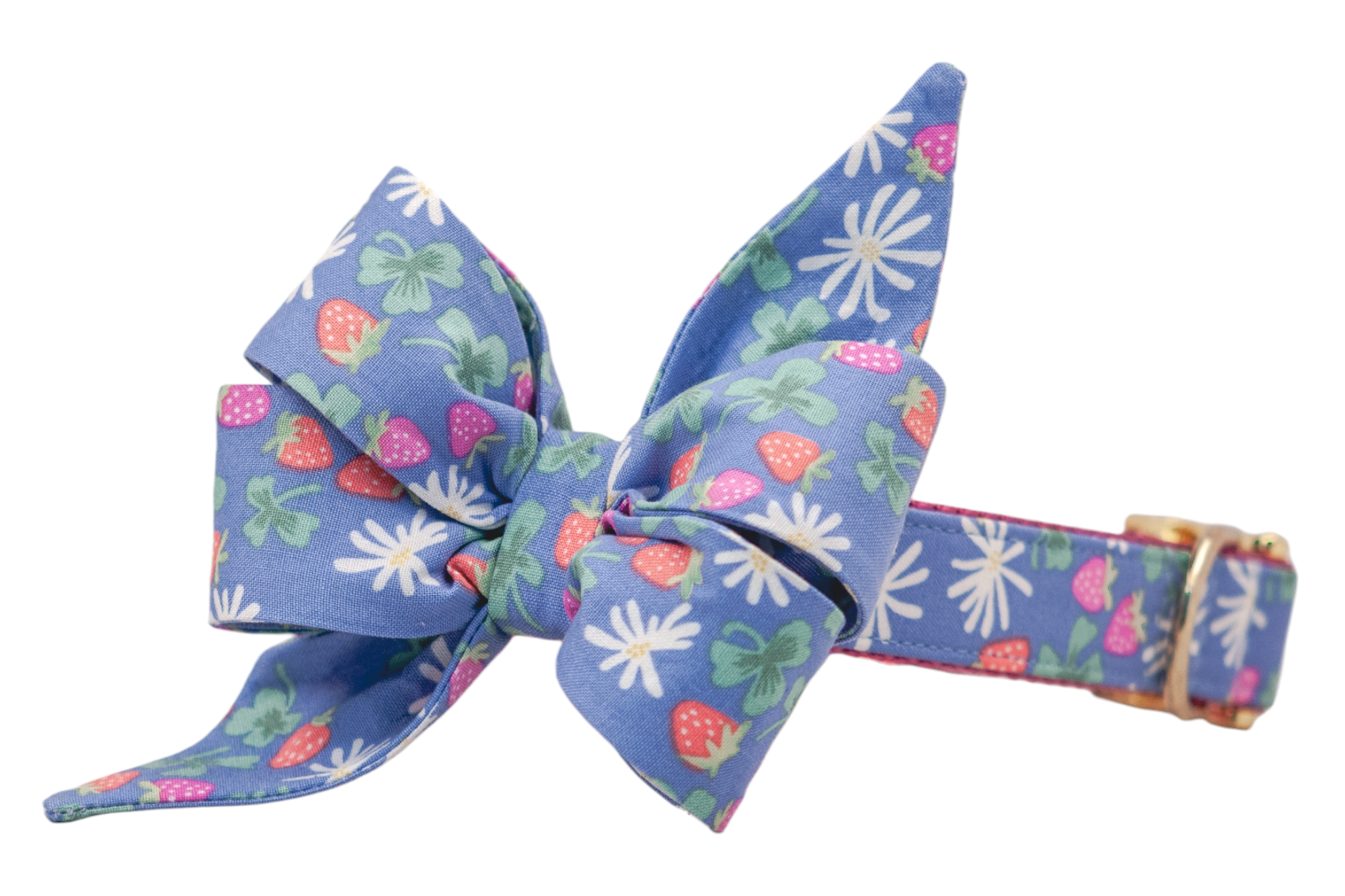 A dog collar with a blue fabric feminine belle bow, printed with a colorful pattern of strawberries, white daisies, and clover-shaped green leaves. The belle bow is centered on a matching collar, which includes a deep pink woven interior and shiny gold hardware, including a D-ring for leash attachment.