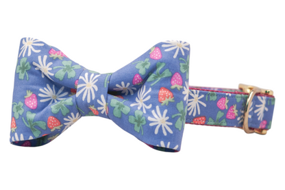 A dog collar with a periwinkle blue fabric bow tie, printed with a colorful pattern of strawberries, white daisies, and clover-shaped green leaves. The bow tie is centered on a matching collar, which includes a deep pink woven interior and shiny gold hardware, including a D-ring for leash attachment.