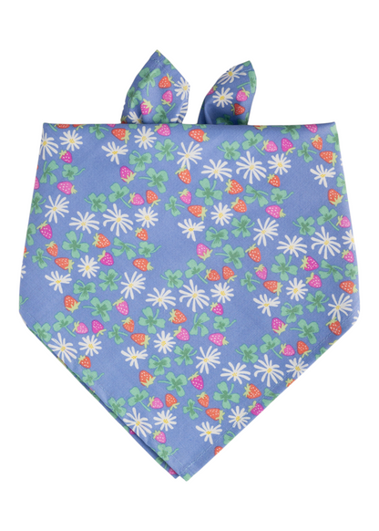 A blue dog bandana decorated with a vibrant all-over print of white daisies, green clover leaves, and pink and red strawberries. The fabric is tied at the top and folded into a triangular shape with a crisp point at the bottom, giving it a cheerful, summery look.