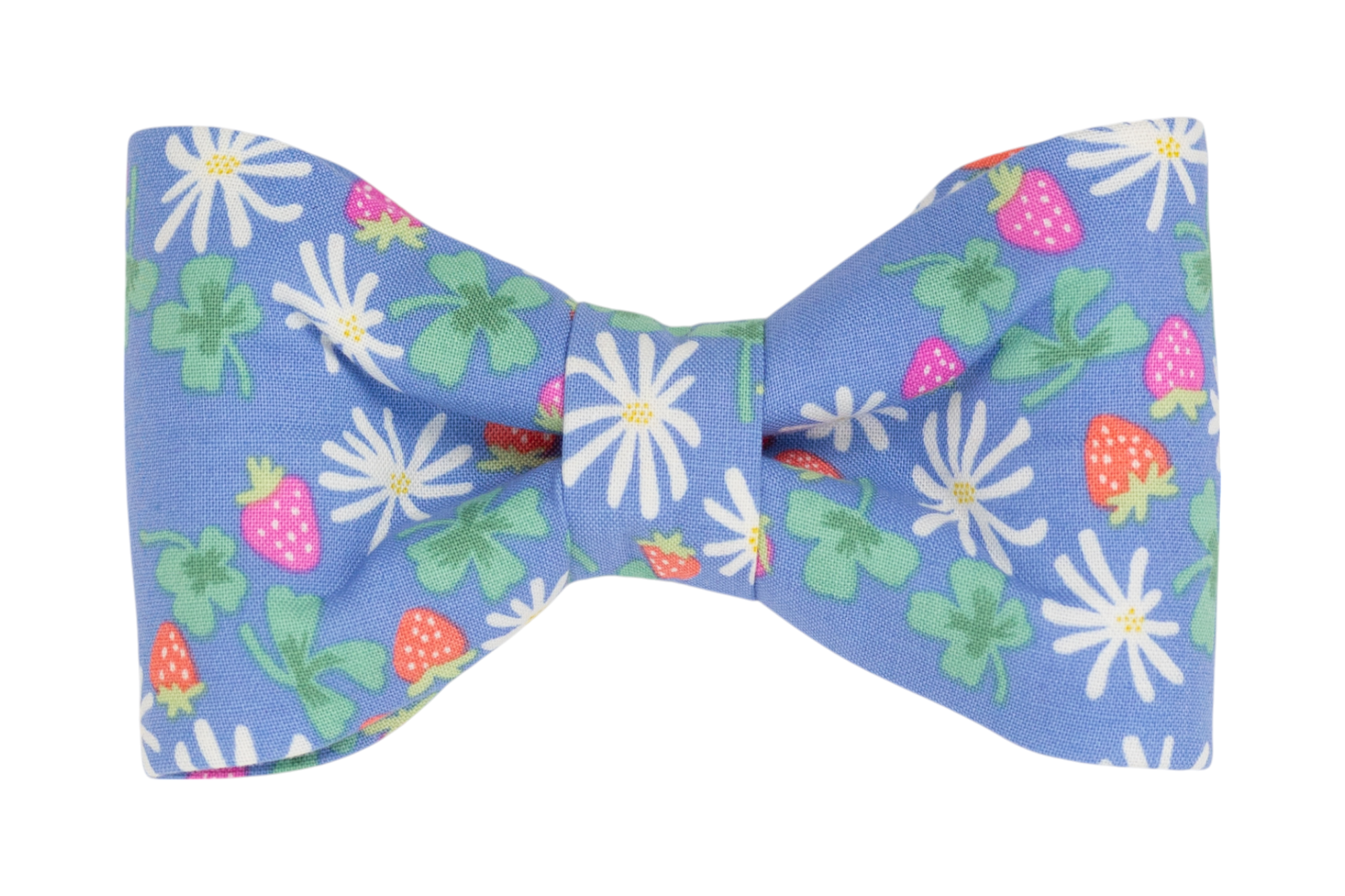 A handmade dog bow tie with a cheerful floral and strawberry pattern on a sky-blue background, perfect for spring and summer outings.