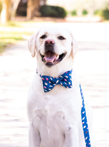 A happy Labrador retriever sits on a sun-dappled park path, looking directly at the camera with a big smile. The dog wears a blue bow tie and matching leash, both printed with colorful ice cream cones and popsicles, creating a playful summer-themed look.