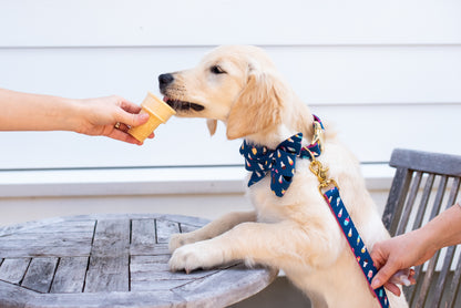 A golden retriever puppy stands on its hind legs with front paws on a wooden table, licking an ice cream cone held by a person. The puppy wears a matching blue bow tie, collar, and leash set decorated with colorful ice cream and popsicle illustrations. 