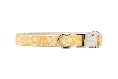 Sunny yellow pet collar featuring delicate white flowers and polished silver hardware