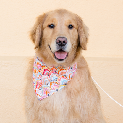 A golden retriever sitting and facing the camera, wearing a colorful bandana with a hand-painted scallop shell pattern in bright shades of orange, pink, blue, and yellow.