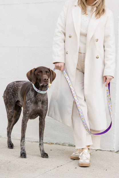 Person in a white holding a dog on a leash and matching collar with a candy heart print, perfect for Valentines Day.