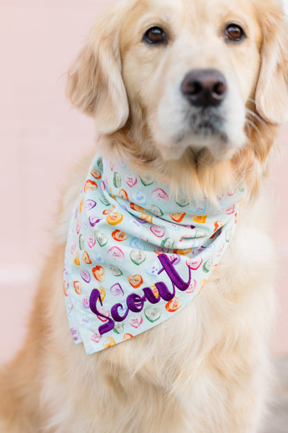 Retriever wearing a pastel blue bandana printed with colorful candy hearts and embroidered with the name “Scout” in bold script, perfect for a Valentine’s Day look.
