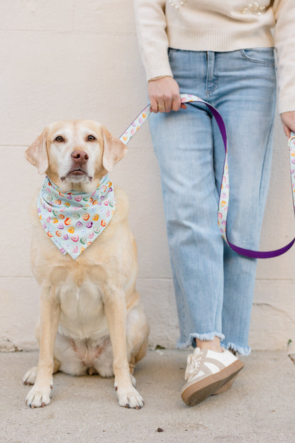 Labrador retriever sits calmly beside a person in jeans and sneakers, wearing a pastel blue bandana covered in colorful candy hearts. The matching leash, held loosely by the person, adds to the coordinated Valentine’s Day look.