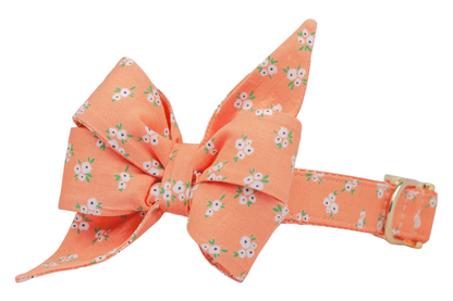 Charming orange dog collar adorned with a matching bold fabric bow in a dainty white floral print. The bow features folded loops and extended tails, and the collar is finished with elegant gold hardware.
