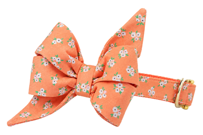 Dog collar featuring a large belle bow in Tangerine Floral fabric, a tangerine peach fabric with small white and pink flowers and green leaves, attached to a matching Tangerine Floral collar with a nylon inner lining and gleaming gold hardware, including a D-ring and buckle.