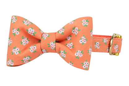 Classic dog collar featuring a Tangerine Floral fabric bow tie, a tangerine peach fabric with small white and pink flowers and green leaves, attached to a matching Tangerine Floral collar with a nylon inner lining and gleaming gold hardware, including a D-ring and buckle.