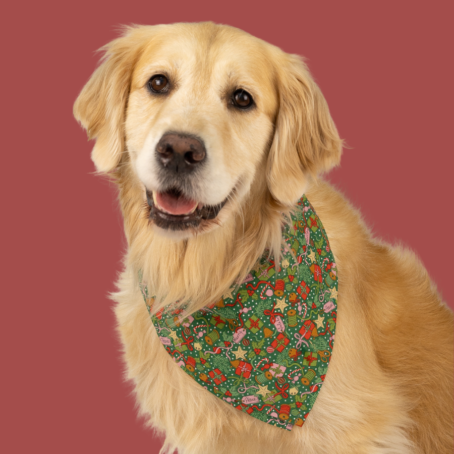 Festive dog bandana featuring a busy print of Christmas-themed illustrations — gifts, stars, candy canes, and holiday treats — worn by a smiling retriever.