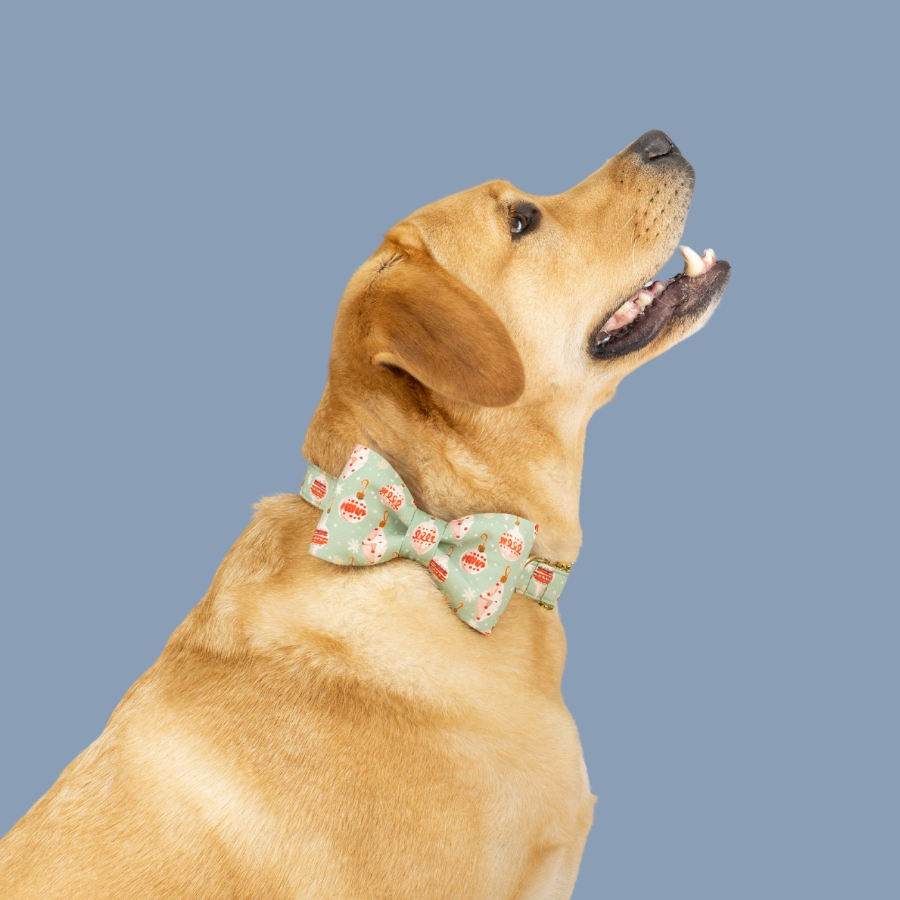 Smiling Labrador in a mint green Christmas bow tie dog collar set with holiday baubles, perfect for festive flair.