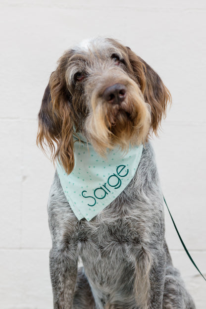 Portrait of a wire-haired dog with a gentle expression, wearing a light green bandana printed with small shamrocks and personalized with the name “Sarge,” creating a subtle yet stylish St. Patrick’s Day look.