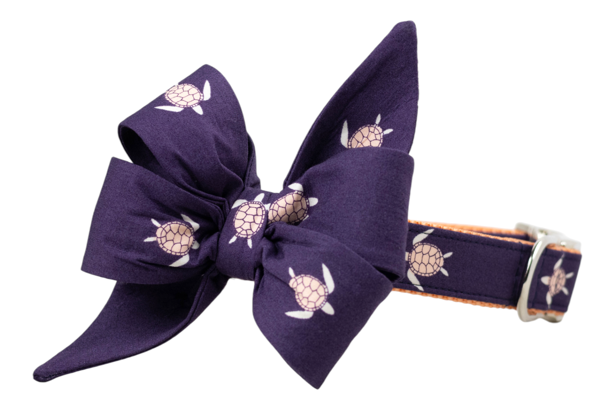 A dog collar in dark purple with a large decorative matching belle bow attached, both featuring a repeating pattern of sea turtles with flippers. The collar has an orange woven underside and silver metal hardware, including a D-ring. The belle bow is voluminous with pointed ends and layered loops.