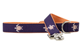 Turtle Time Dog Leash