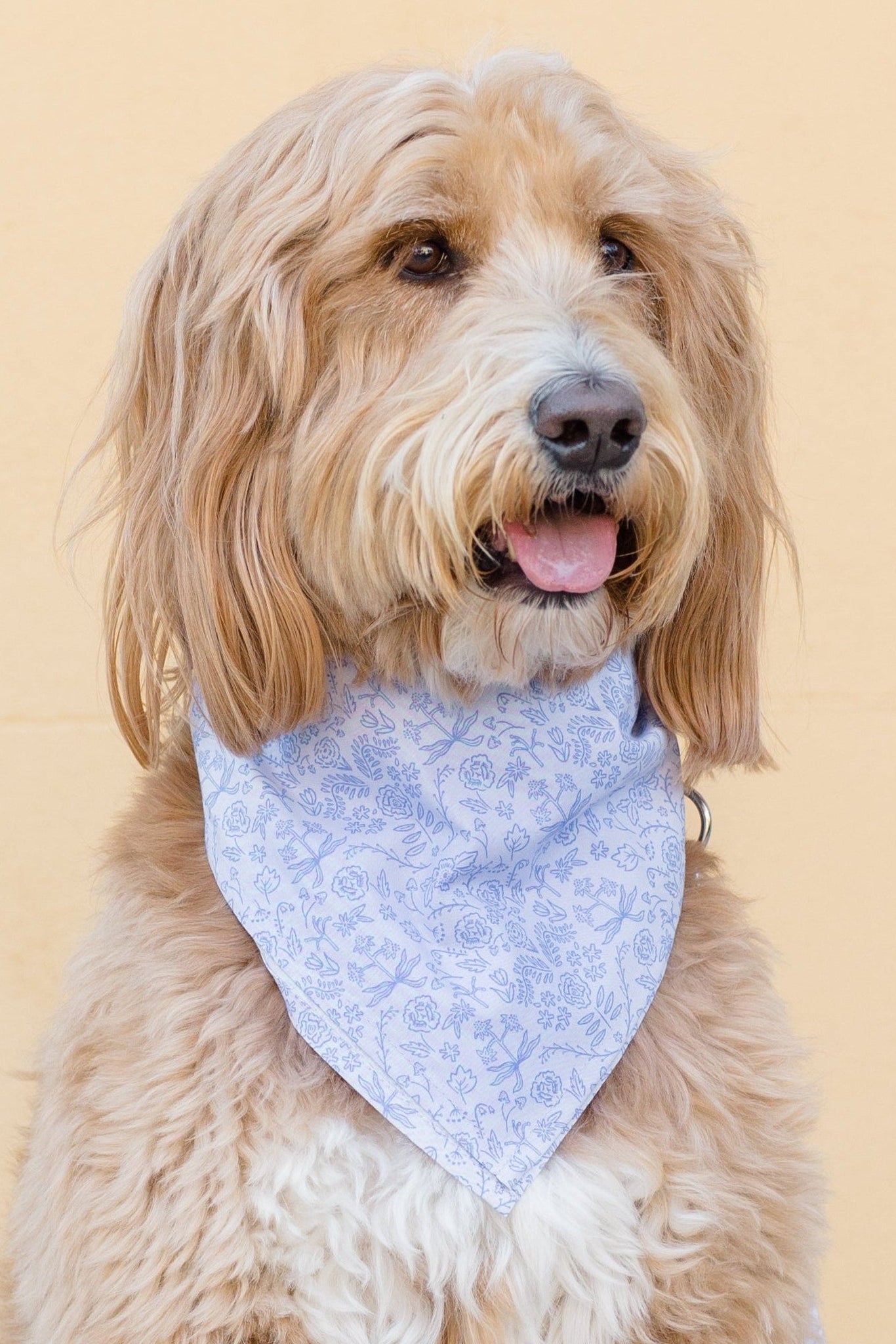 Long-haired dog with a scruffy coat and tongue visible, dressed in a pastel periwinkle blue bandana with intricate floral patterns.