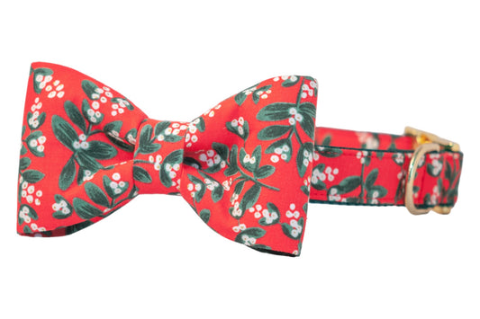 Holiday dog collar with an attached matching red bow tie, both decorated in a mistletoe pattern of foliage and berries, finished with polished hardware for extra festive flair.