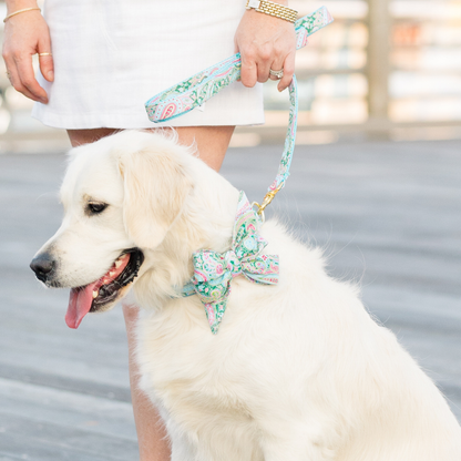 A golden retriever with a creamy white coat sits beside a person in a white outfit, wearing a colorful paisley belle bow collar and matching leash in shades of mint green, pink, and blue. The gold hardware adds a polished accent to the coordinated accessories.