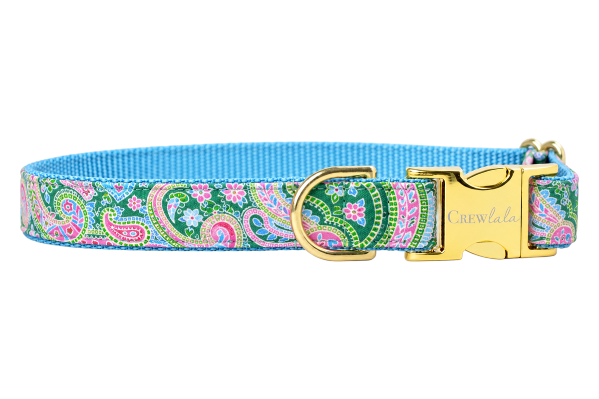 Plain Vera Paisley dog collar without the bow, made with a green, sky blue, pink and lavender paisley print, lined with light blue nylon webbing and gold hardware with a Crewlala logo buckle.