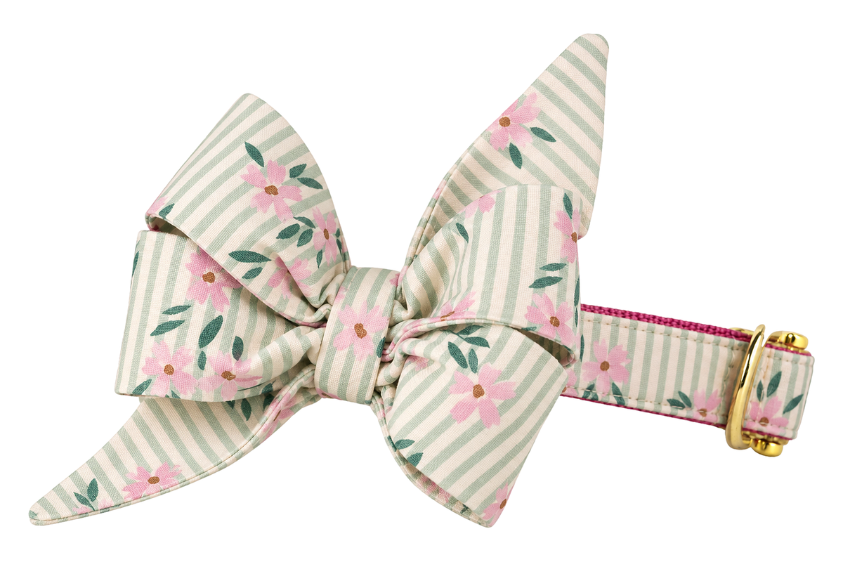 Dog collar featuring a large belle bow in Vineyard Blooms fabric, a sage green and cream pinstripe fabric with blush pink flowers and green leaves, attached to a matching Vineyard Blooms collar with a nylon inner lining and gleaming gold hardware, including a D-ring and buckle.