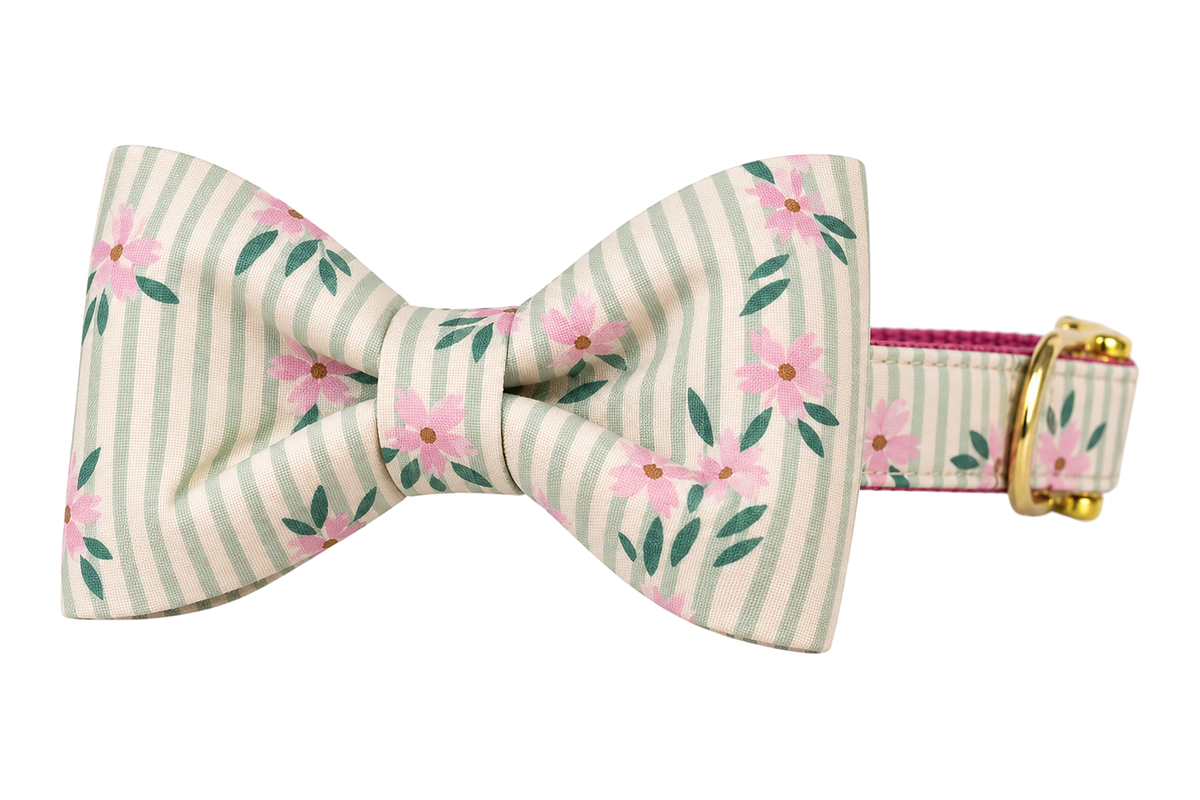 Classic dog collar featuring a Vineyard Blooms fabric bow tie, a sage green and cream pinstripe fabric with blush pink flowers and green leaves, attached to a matching Vineyard Blooms collar with a nylon inner lining and gleaming gold hardware, including a D-ring and buckle.