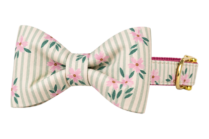 Classic dog collar featuring a Vineyard Blooms fabric bow tie, a sage green and cream pinstripe fabric with blush pink flowers and green leaves, attached to a matching Vineyard Blooms collar with a nylon inner lining and gleaming gold hardware, including a D-ring and buckle.