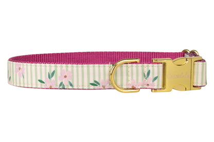 A dog collar with a gold metal buckle and D-ring, featuring a green and cream striped floral fabric on the outside and a deep pink woven inner lining.