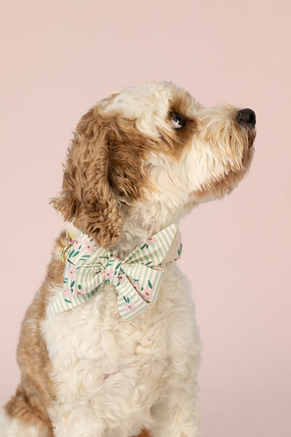 Pastel dog belle bow collar set with vertical green stripes and dainty flowers, styled on a sweet pup against a pale background—ideal for soft seasonal style or special occasions.