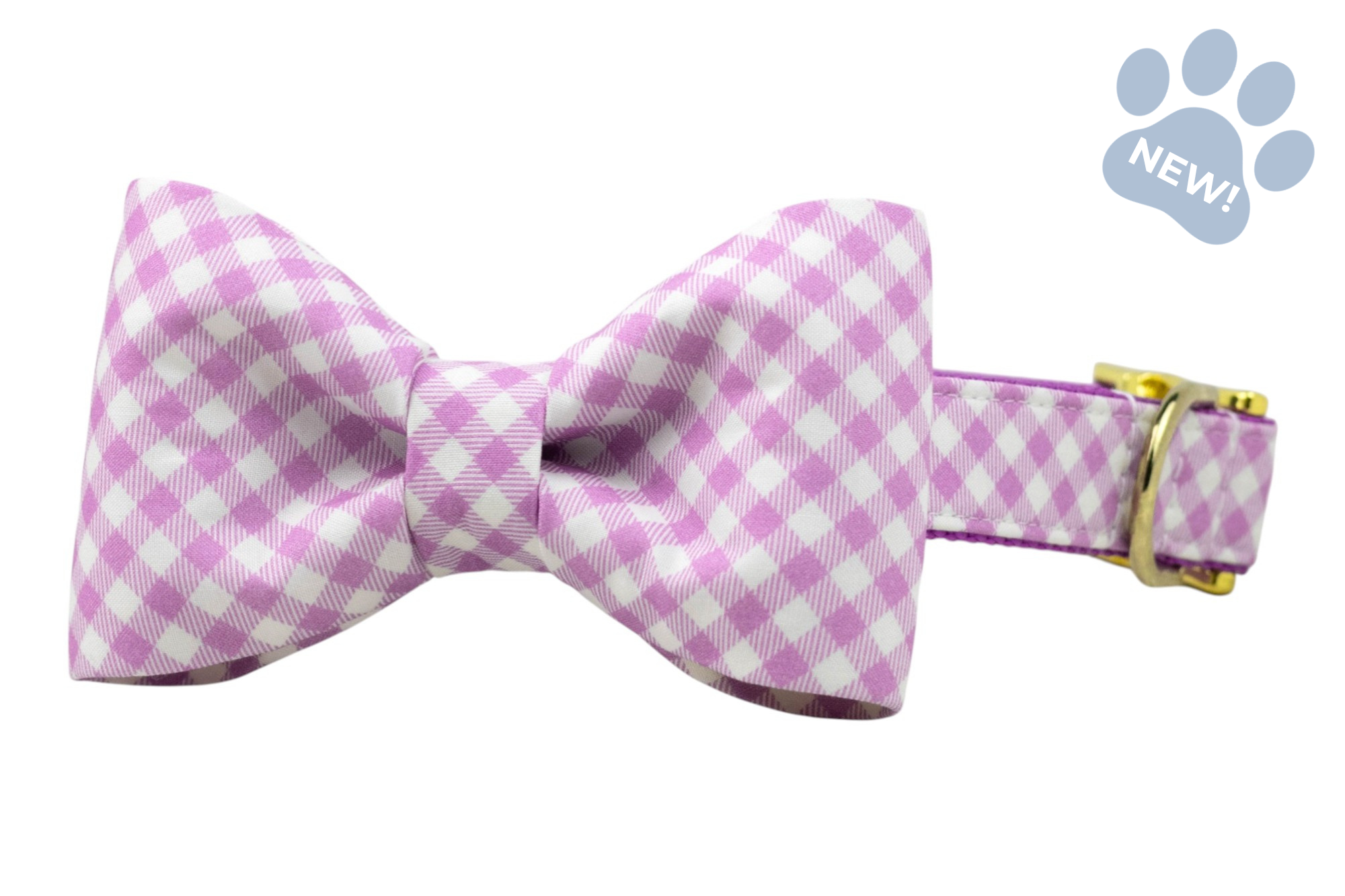 Violet plaid bow tie pet collar with a classic double-loop bow and polished gold buckle detail.