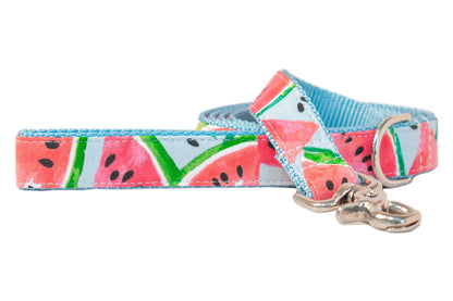 A dog leash with a bright watermelon print on light blue fabric, featuring red-pink fruit sections, green-striped rinds, and scattered black seeds. The underside is made of sky-blue woven nylon webbing, and the leash is finished with silver-tone hardware, including a swivel snap hook and a D-ring.