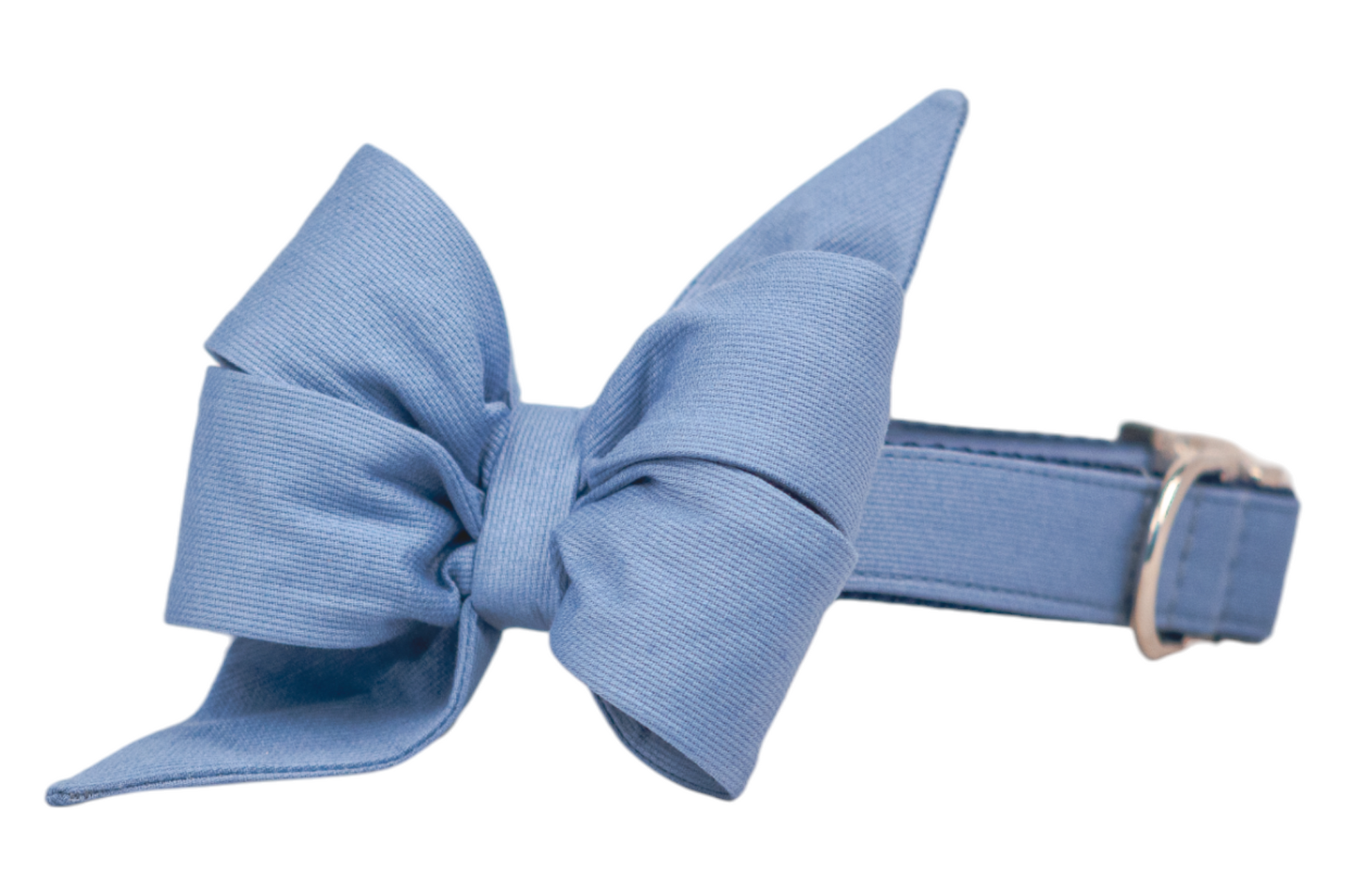 Dog collar in slate blue with a matching statement feminine belle bow made of ribbed cotton fabric. The belle bow is gathered at the center with sculpted loops and tails, creating a refined and playful silhouette. The collar is finished with polished silver hardware.