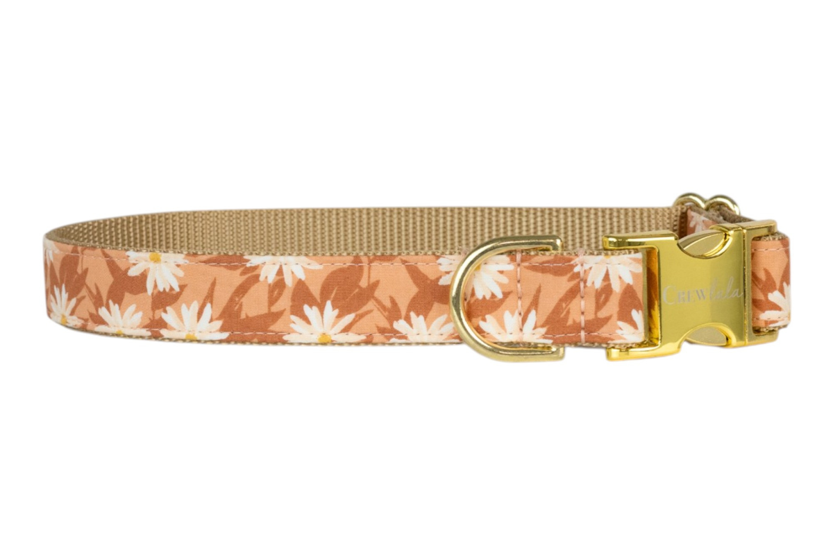 Wild Aster dog collar with nylon inner lining, D-ring and buckle - Crew LaLa