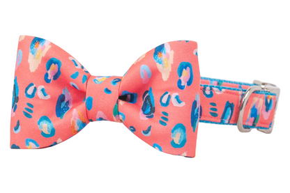 A bold coral dog collar featuring a classic and matching bow tie with colorful leopard-style spots and sleek silver hardware — perfect for stylish walks or special events.