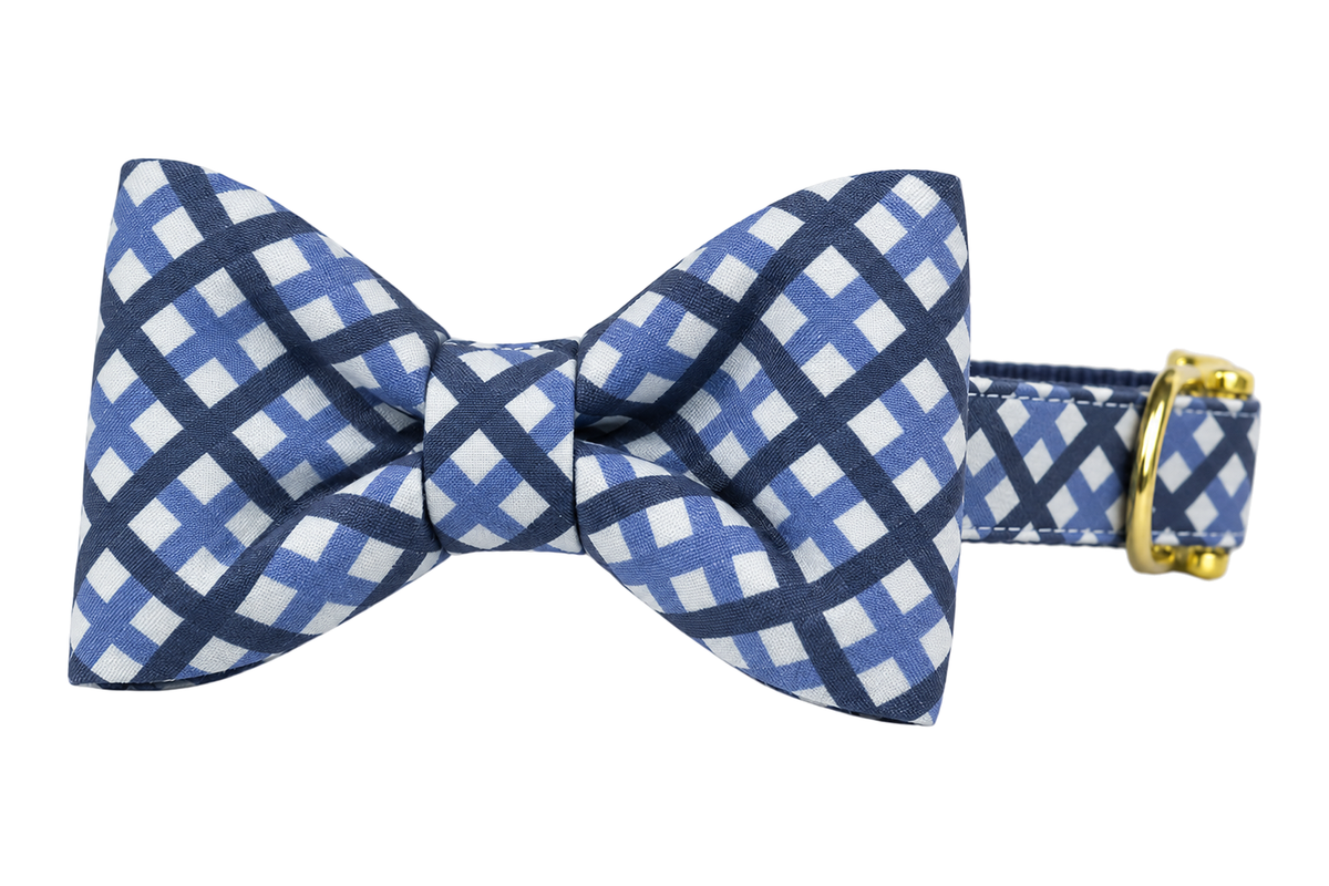 Classic dog collar featuring a Windowpane Plaid fabric bow tie, a navy and periwinkle blue lattice check on white, attached to a matching Windowpane Plaid collar with a nylon inner lining and gleaming gold hardware, including a D-ring and buckle.