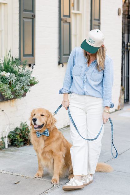 A golden retriever wearing a blue plaid bow tie collar. The leash, matching the dog’s collar in the same shades-of-blue plaid pattern, is held loosely as they walk along a sidewalk lined with plants and brick buildings.