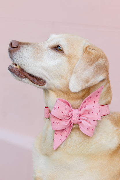 Side profile of a dog wearing a collar with a large, double-layered belle bow made from matching pink fabric. The bow and collar are patterned with Xs and Os, and metal hardware. Perfect for valentines day celebration!